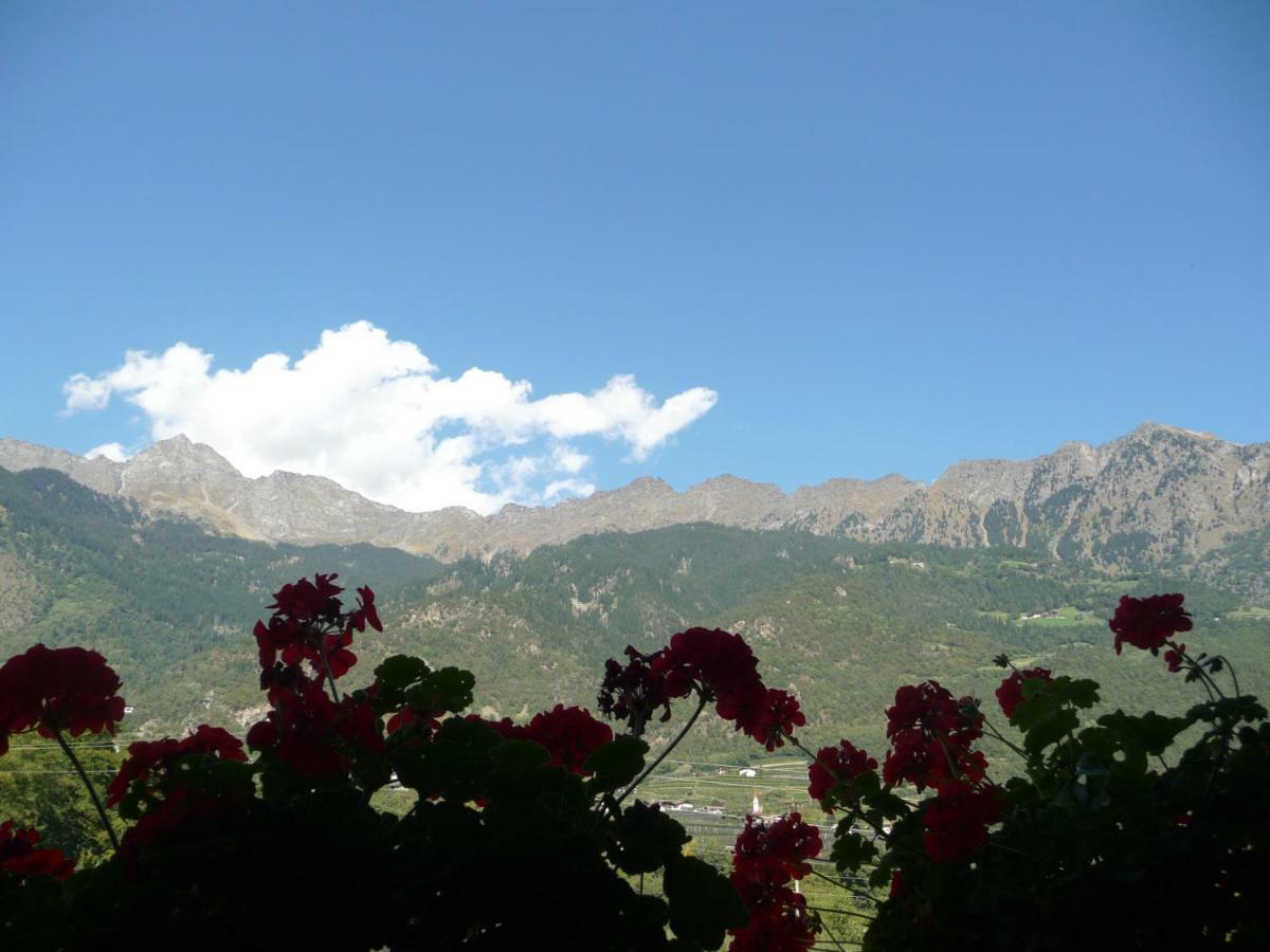 Ferienwohnungen Obermoarhof Lagundo Luaran gambar